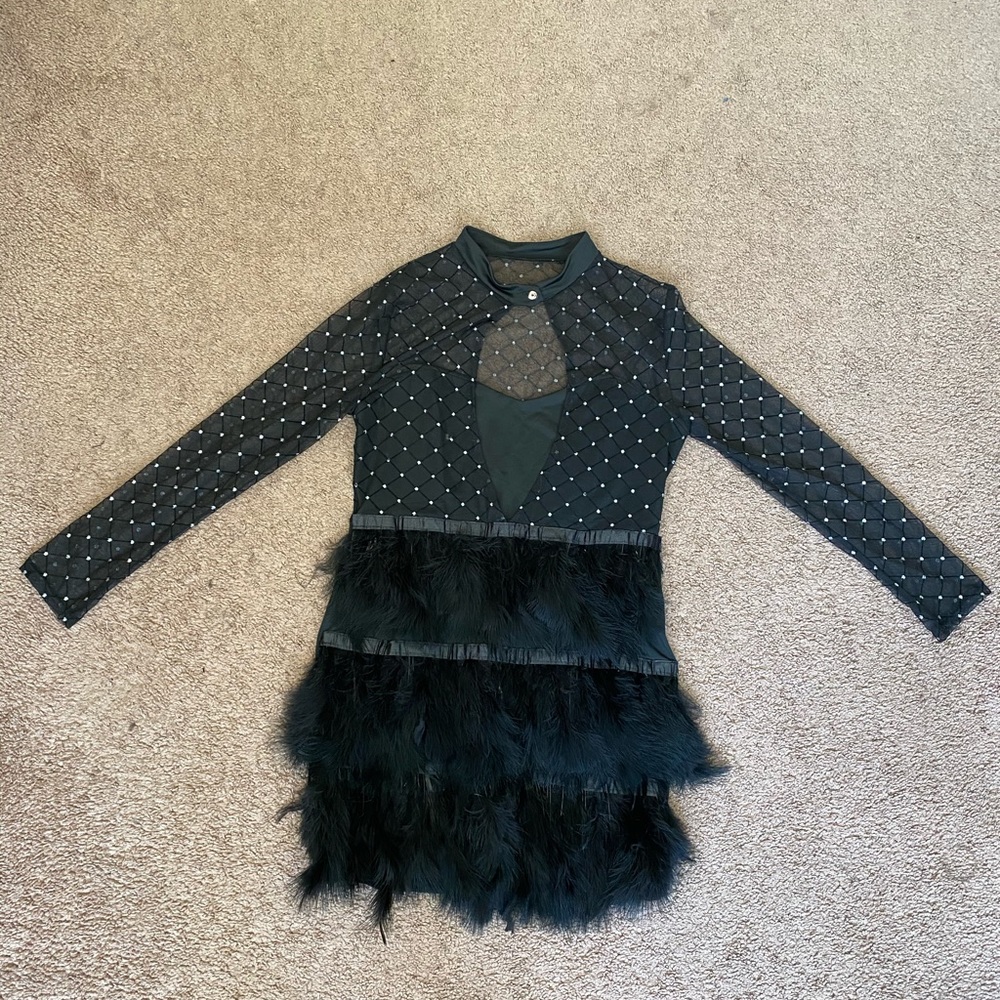 Long Sleeve Sheer Dress With Faux Feathers Dress